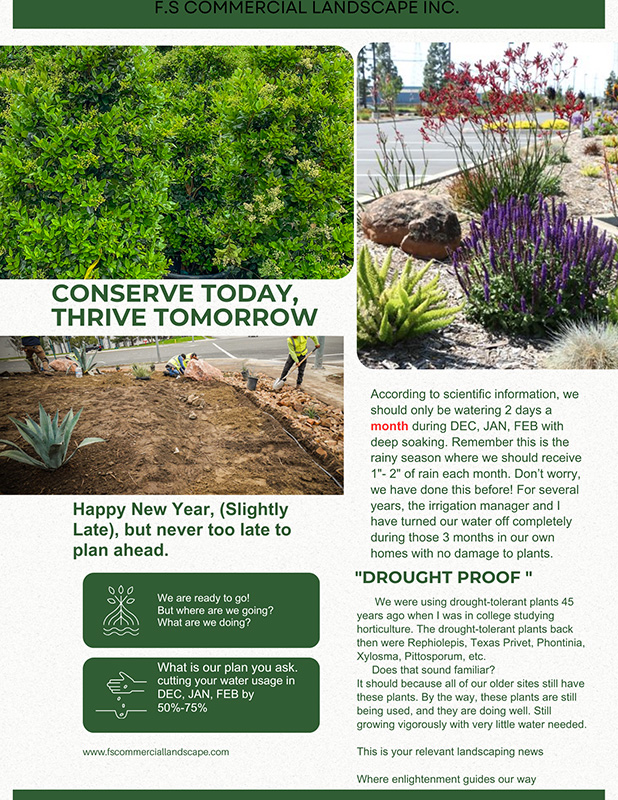 FS-Landscape-Newsletter-February-2025